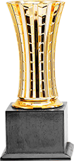 award-picture